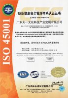 ISO 45001职业健康安全管理体系认证（中文）